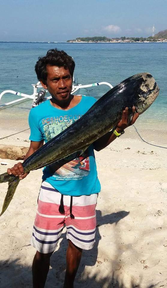 Sasak Island Bungalows ギリ島 エクステリア 写真