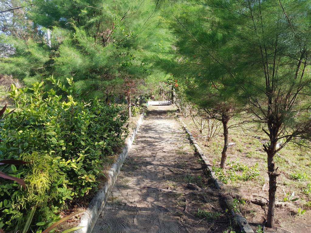 Sasak Island Bungalows ギリ島 エクステリア 写真